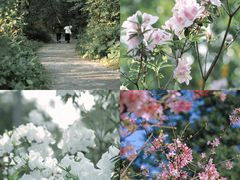 -中国科学院华南植物园