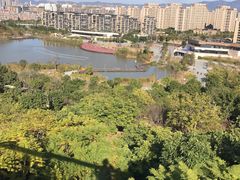 -飞凤山奥体公园