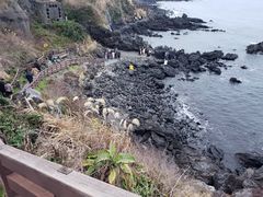 -龙头岩(Dragon Head Rock)