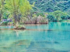 -靖西鹅泉风景区