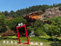 -徐州龟山景区