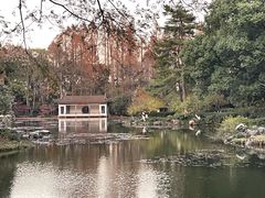 -杭州植物园