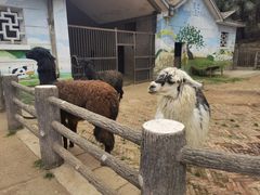 -昆明动物园