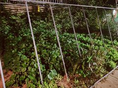 -姥家大锅台水库渔家