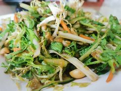 凉拌苦菊-青岛锅贴(四流中路店)