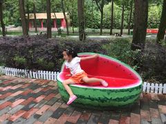 -贵州森林野生动物园