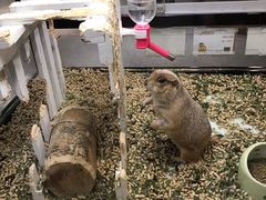 -宠物世家(仲盛世界商城店)