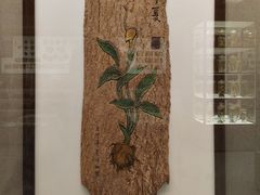 -北京中医药大学-中医药博物馆