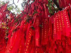 -广州莲花山旅游区