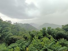 -莫干山风景区