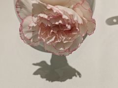 -眉州东坡(清河万象汇店)