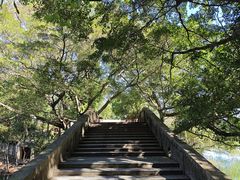 -广州市流溪河国家森林公园