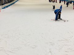 游乐设施-绍兴启迪乔波冰雪世界