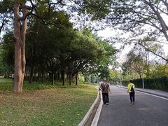 -东莞植物园