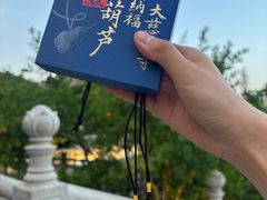 -大慈恩寺(大雁塔)