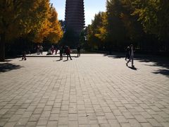 -玲珑塔公园