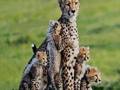 -罗红摄影艺术馆