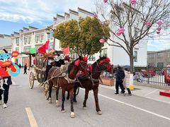 -茯茶镇