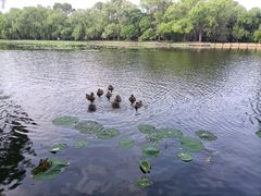 -北陵公园