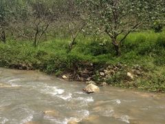 iphone_upload_pic-千泷沟大瀑布旅游区