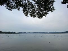 -乌江鱼杭帮菜(西湖店)