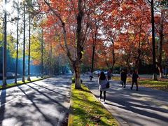 -四川大学(望江校区)