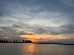 -瑶湖郊野森林公园