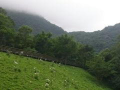 -太鲁阁公园