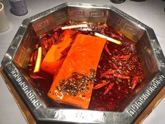 -蜀九香火锅(九眼桥店)