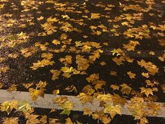 -Joy酒隐(西湖店)