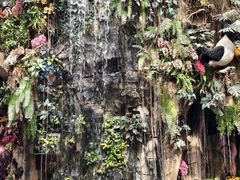 -正佳雨林生态植物园