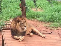 -昆明动物园