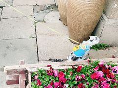 -山塘街