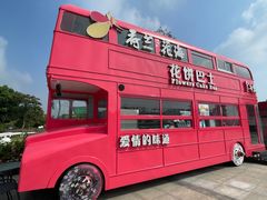 -荷兰花海