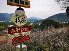 -香雪海