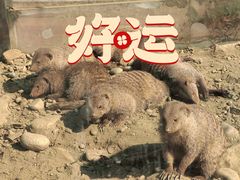 -国色天乡三期陆地乐园