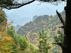 -秦岭天竺山景区