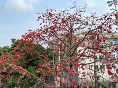 -晓港公园