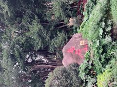 -乌山风景区