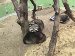 -呀路古热带植物园