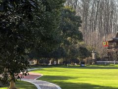 -合肥滨湖国家森林公园