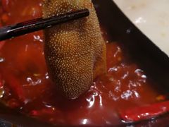 -蜀大侠火锅(森兰花园城店)