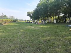 -江滩湿地公园