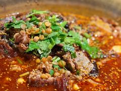 正宗成都冒烤鸭-张翻越·川渝冒菜·武汉黑鸭煲(城北万象城店)