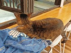 -猫的天空之城概念书店(杭州南宋御街店)
