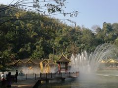 -西双版纳原始森林公园