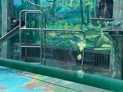 -宁波野生动物园