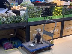 -地利生鲜(万科明天广场店)