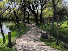 -西溪国家湿地公园