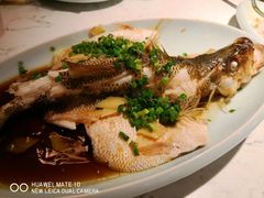 -大榕树下顺德菜(融创茂店)